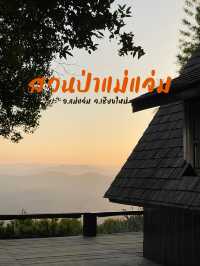 🌲✨ สวนป่าแม่แจ่ม – เชียงใหม่