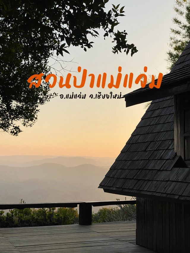 🌲✨ สวนป่าแม่แจ่ม – เชียงใหม่