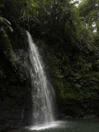 A must visit in bali! Beautiful waterfall 😍😍