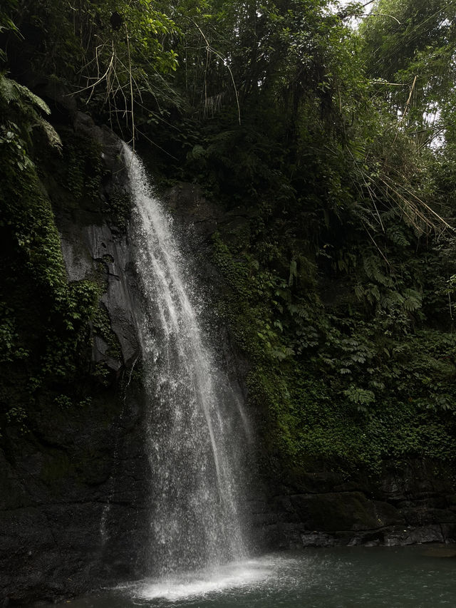 A must visit in bali! Beautiful waterfall 😍😍