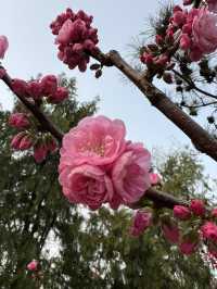 You MUST visit this place in Beijing