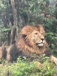 A Perfect Blend of Nature and Wildlife