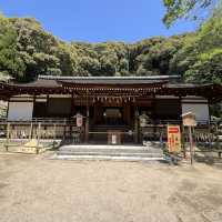 ⛩🍃 Uji Shrine – A Hidden Gem Where Time Whispers