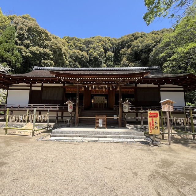 ⛩🍃 Uji Shrine – A Hidden Gem Where Time Whispers