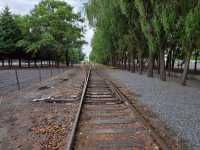 Have you seen Harbin in summer?