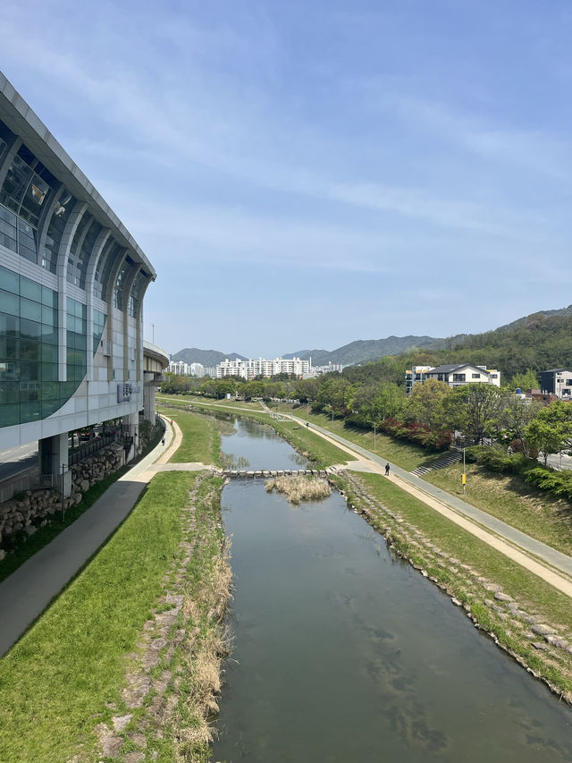 도심속 힐링 산책 명소 김해여행 김해연지공원 