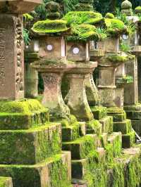 Deer & Serenity: A Stroll Through Nara Park