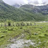  A Peaceful Trek to Gongga Lake (贡嘎措) in Daocheng Yading