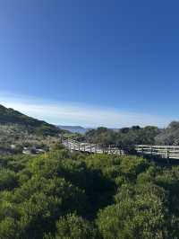 Tasmania Bruny Island 