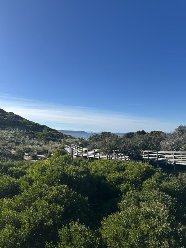 Tasmania Bruny Island 