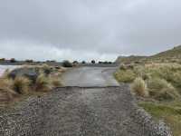 Stunning views of Lyttelton Harbour, the volcanic peaks and ridges of Banks Peninsula