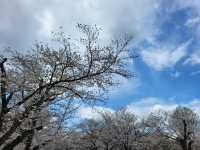 大阪市郊的親子友善景點/萬博紀念公園