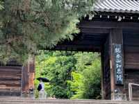 京都 | 淨土宗總本山知恩院，有著文化底蘊的古老佛寺