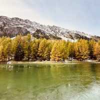 🏔️ Solo Alpine Escape: Swiss Summer Magic