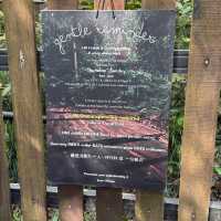 🍃Post-Hike Treat at Hill & Heal Café – A Hidden Gem in Kluang!🌿