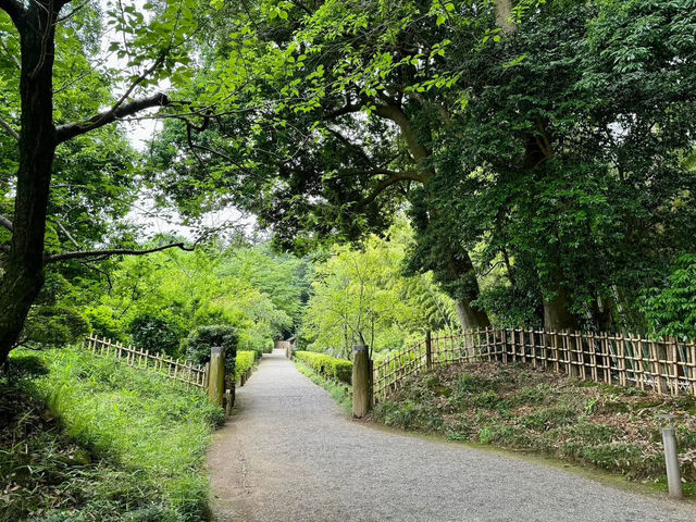 茨城県必遊 日本三大名園 夏日的偕樂園