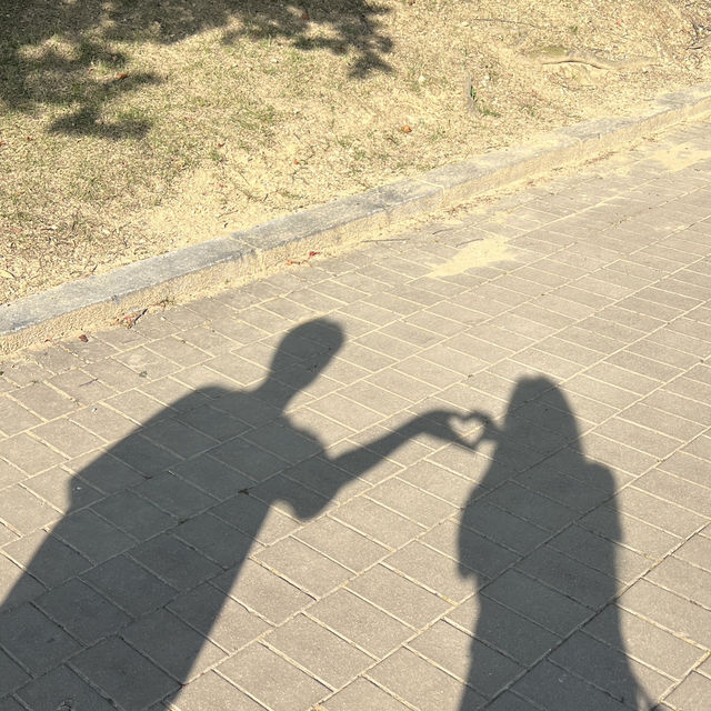 라한셀렉트 앞 산책코스💚 보문호 둘레길 야외데이트 추천