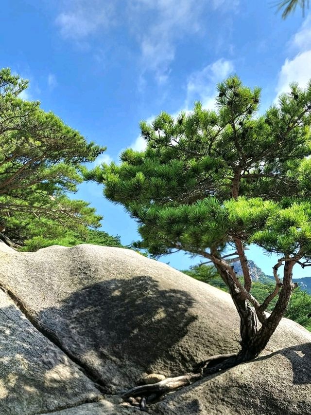 City Meets Nature: Bukhansan National Park