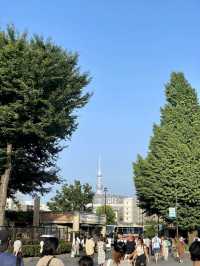 Ueno Park: A Cultural Stroll Through Tokyo’s Green Heart
