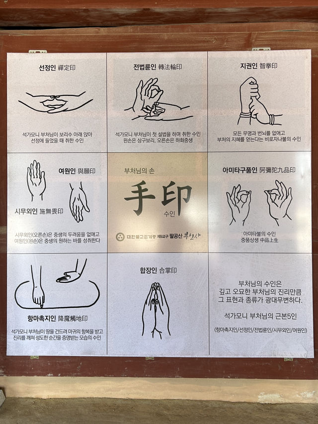 🇰🇷大邱✈️八公山半山腰的符仁寺부인사