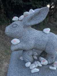 【神話の地で縁結び✨白兎神社で心清らかに】