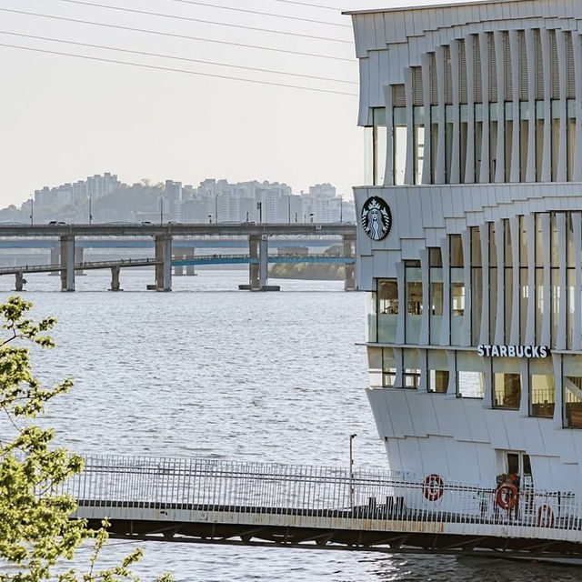 Chill Like a Local: Banpo & Jamwon Hangang River Vibes for Solo Travelers** 🌊🚴♀️