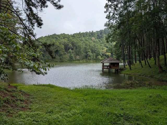 Journey to Pang Ung: Where Mountains Meet Misty Clouds