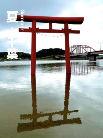 【千葉】湖中美麗的紅色鳥居