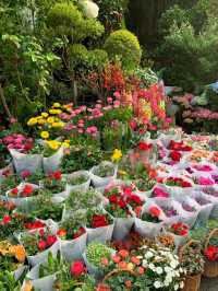 สวนคุณยายเสี่ยวหมี