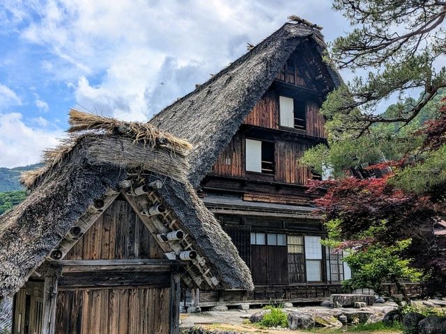 白川鄉 | 神田家，擁有160年歷史的合掌造古民家