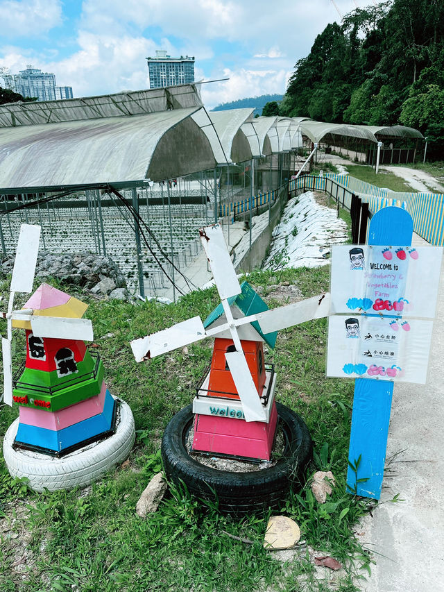 A Taste of Genting’s Fresh Side at Uncle Andy Farm