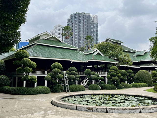 sanctuary in the vibrant city 