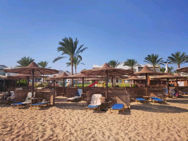 Desert Bliss Meets Beach Chill at Jaz Dahabeya