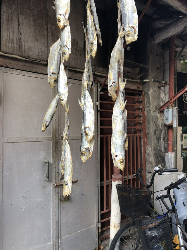 Exploring Tai O: Hong Kong's Charming Fishing Village 🇭🇰