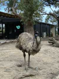 Amazing time in the zoo