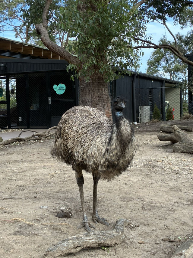Amazing time in the zoo