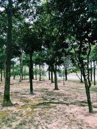 A Tranquil Escape at Taman Tasik Cyberjaya