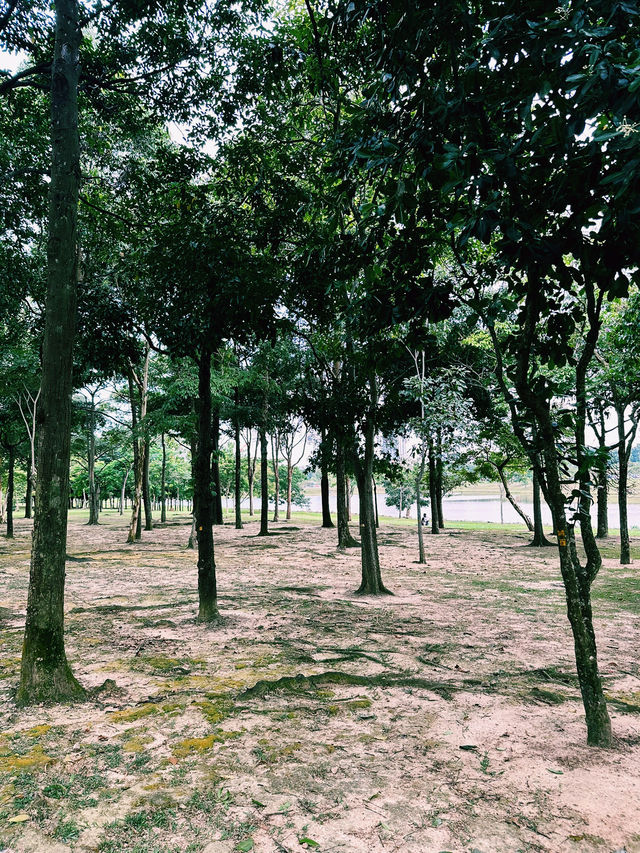 A Tranquil Escape at Taman Tasik Cyberjaya