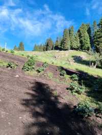 My First Horseback Riding Adventure on the Grassland