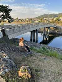 3 Days in Kyoto