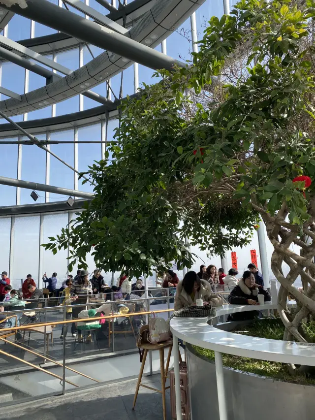 Shanghai Duoyun Bookstore - above the clouds!