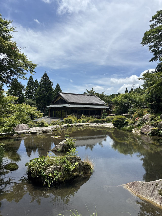 아름다운 장면 하나를 보려고 오는 환경예술의 숲💚🌳