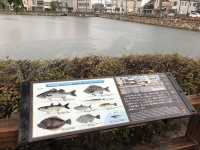 【今治城｜愛媛県今治市 「海の水が満ちる堀。藤堂高虎が遺した、“瀬戸内の防衛要塞”」】