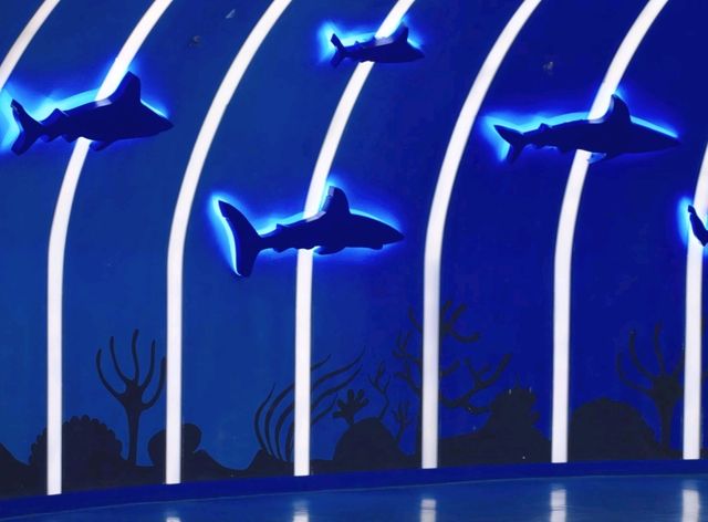 A Stroll Under the Sea in Shanghai Haichang Ocean Park