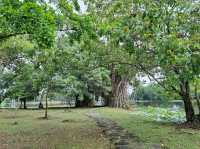Cyberjaya Lake Gardens