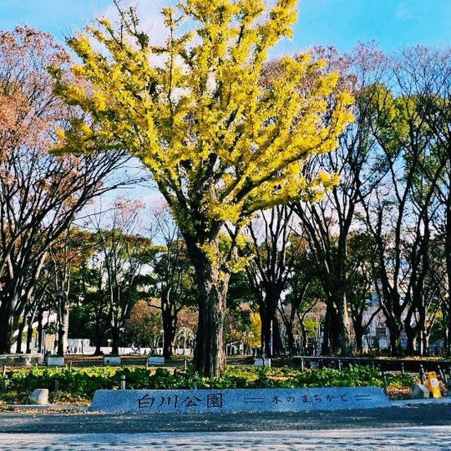 나고야, 조용하고 깊이 있는 일본 중부 여행기