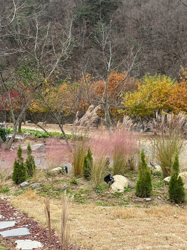 🌿 단양 1박 2일 힐링 여행 코스 