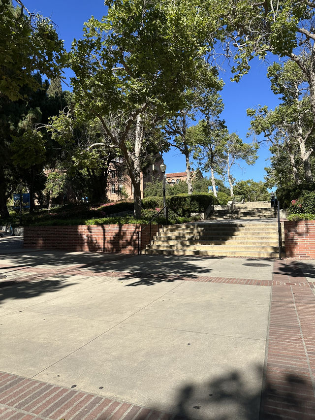 洛杉磯UCLA校園探索指南 | 走進西海岸學術殿堂 🌟