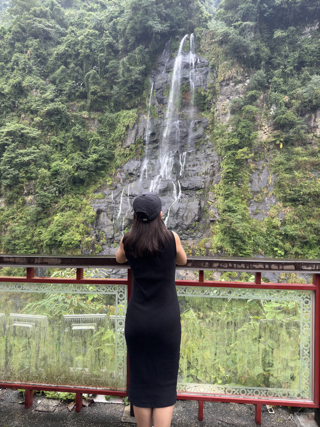 💦 [NATURE ESCAPE] Wulai Waterfall + Scenic Cable Car Ride Above the Jungle!