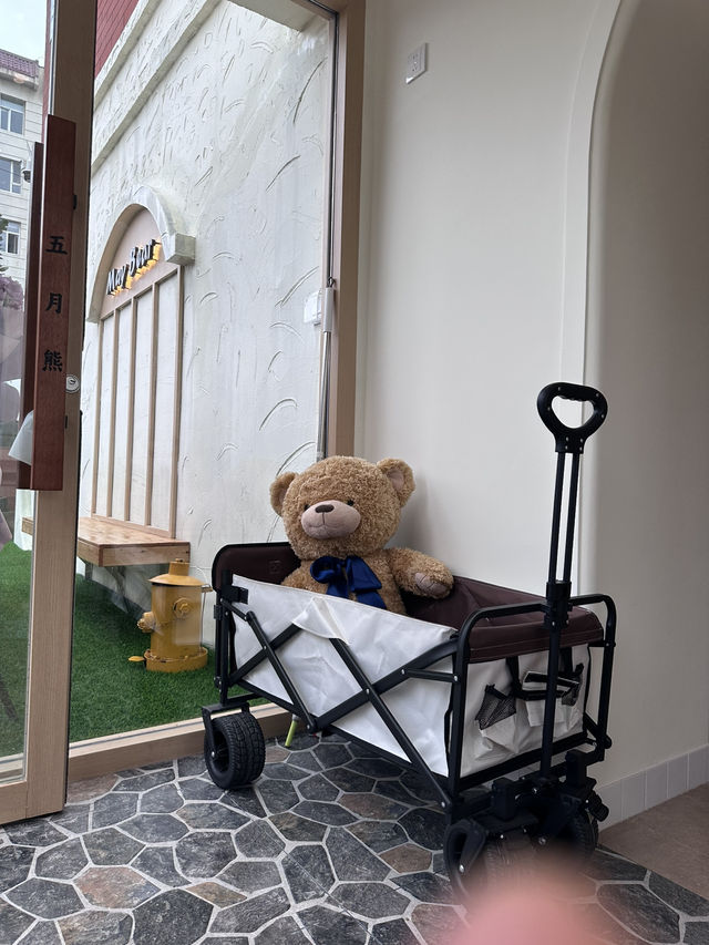 🌸藏在朝阳的治愈小天地｜会做手工熊的宠物友好咖啡店谁不爱！🐻🐾